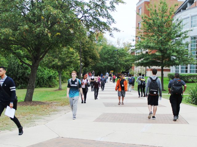 students walk through the middle of campus on a wide sidewalk