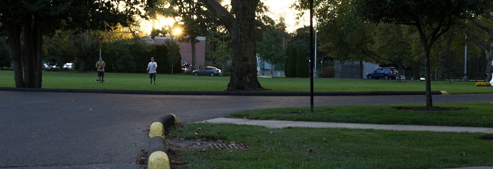 pavement of Bunce Circle with students playing frisbee on grass