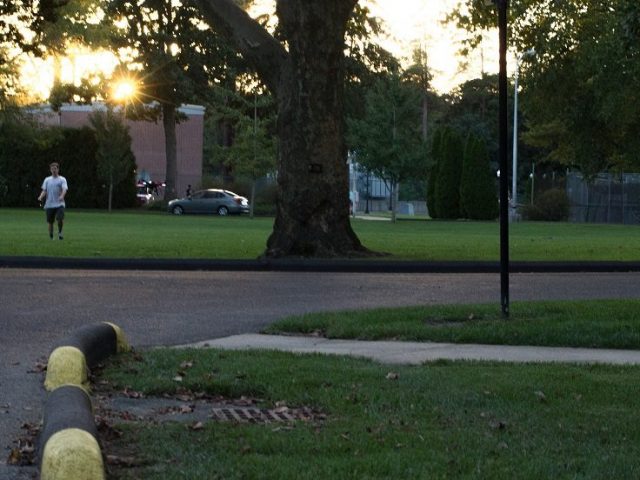 pavement of Bunce Circle with students playing frisbee on grass