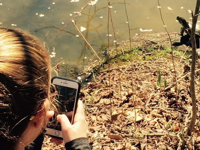 Kelly takes a photograph of a turtle sitting on a rock