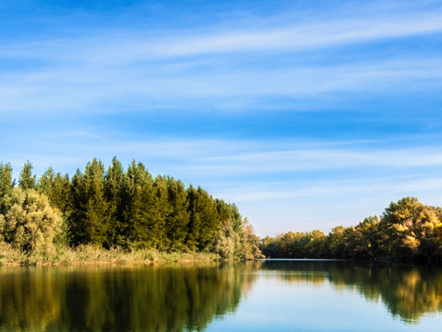 River with trees on the riverbank and blue sky with smooth white clouds