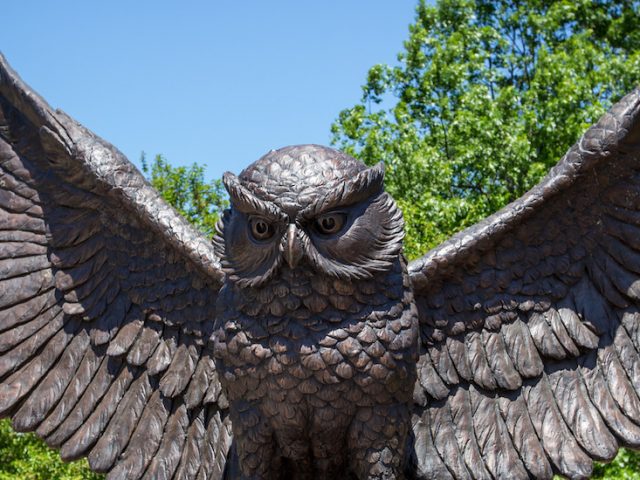 owl statue in center of campus