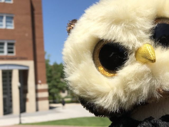 A brown and gold Beanie Boo stuffed animal in front of Rowan Universitys Campbell Library