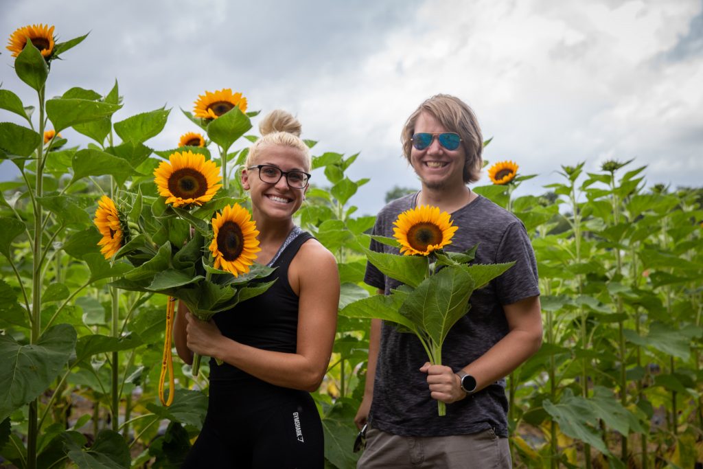 20 Minute Radius: Sunflower Picking at Hill Creek Farms