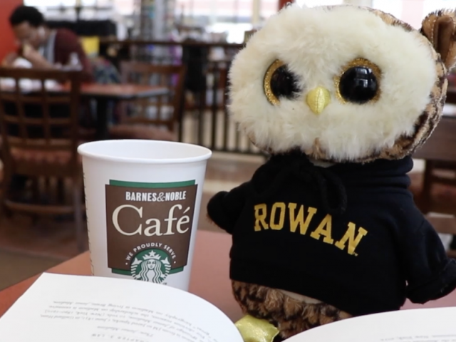 Owl in Barnes and nobles with coffee and a book