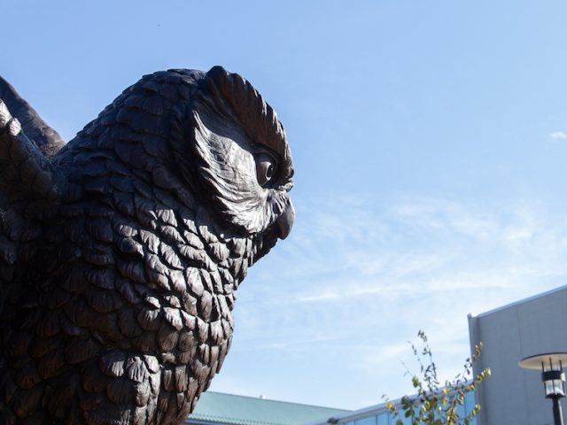 A close up of the owl statue under blue skies