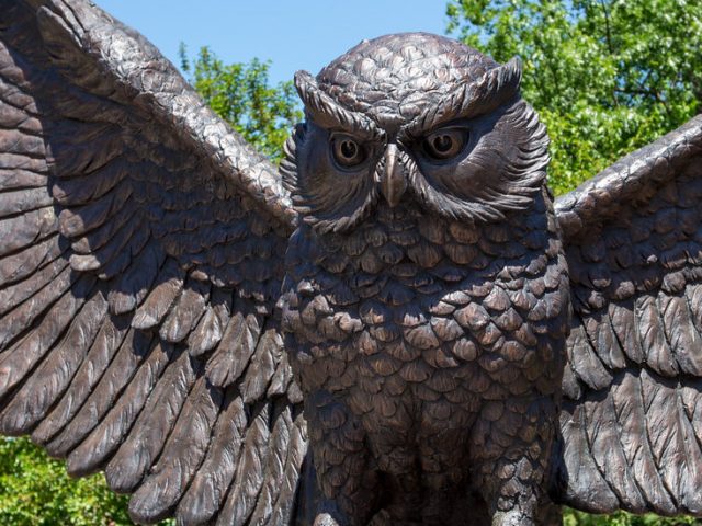 Rowan Owl statue, near where Ben and Zazu's photos were taken