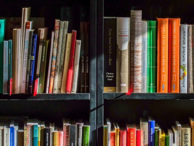 books aligned on a book case.