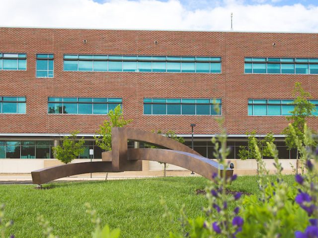 View of James Hall, the education building, with purple flowers in the foreground.