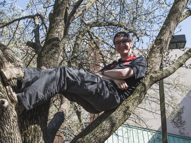 Troy Becker in a tree on campus.