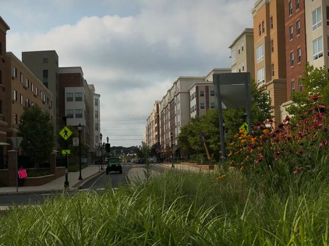 Grassy photo of Whitney Center.