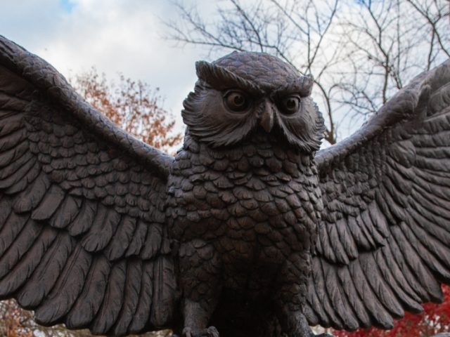 Exterior shot of Rowan owl statue on Rowan's Glassboro campus