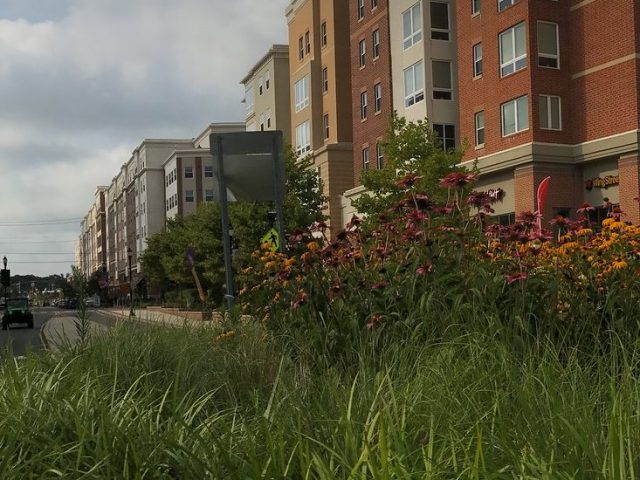 Outdoor photo of Rowan Boulevard