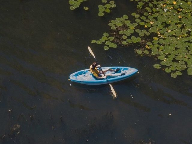 an aerial photo of Jen in a blue kayak surrounded by lilypads in Alcyon lake.