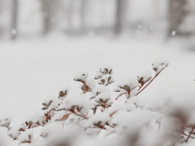 Snowy scene on campus.