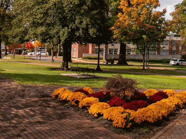 Exterior shot of walkway by Bunce Hall.