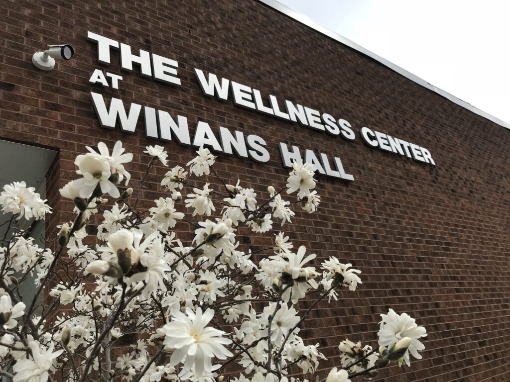 The Wellness Center