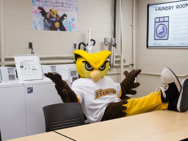 Whoo RU relaxes in the laundry room between wash cycles.