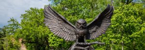 Shot of Owl Statue.