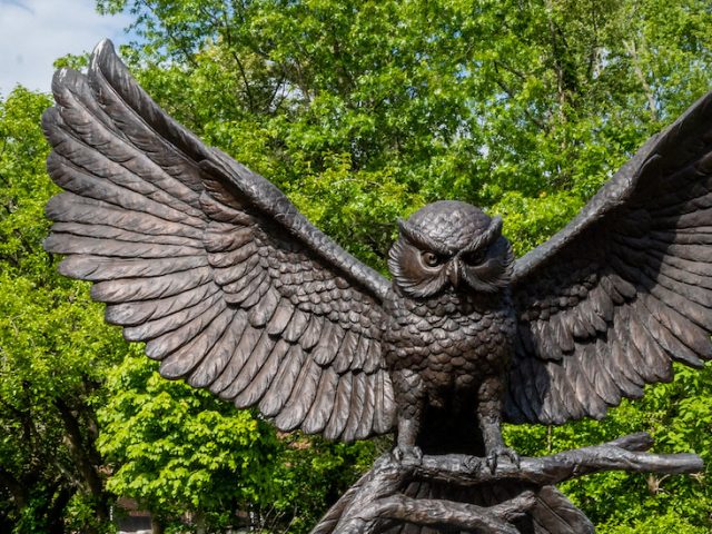 Shot of Owl Statue.