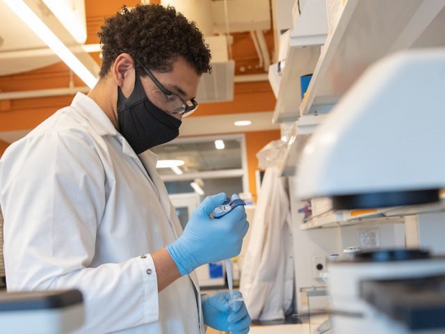 Brandon works in a biomedical engineering lab.