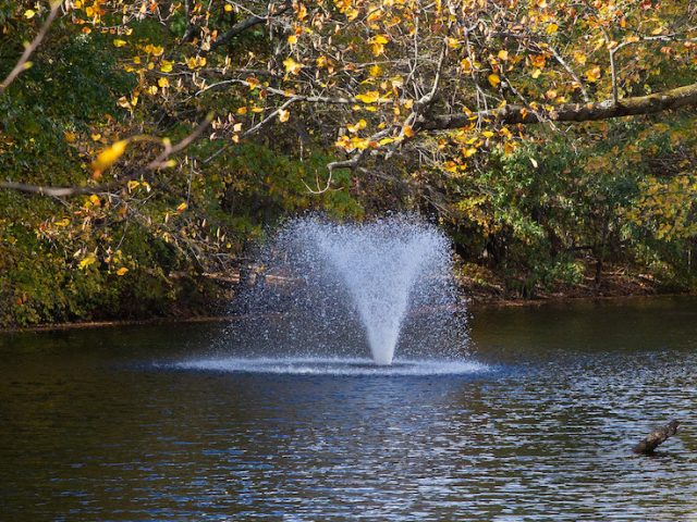 A landscape photo of the fountain behind engineering pond.