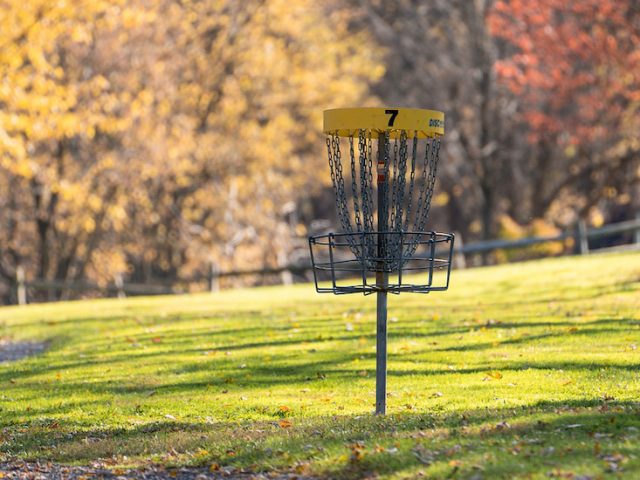 Stock photo of disc golf in a wooded area.