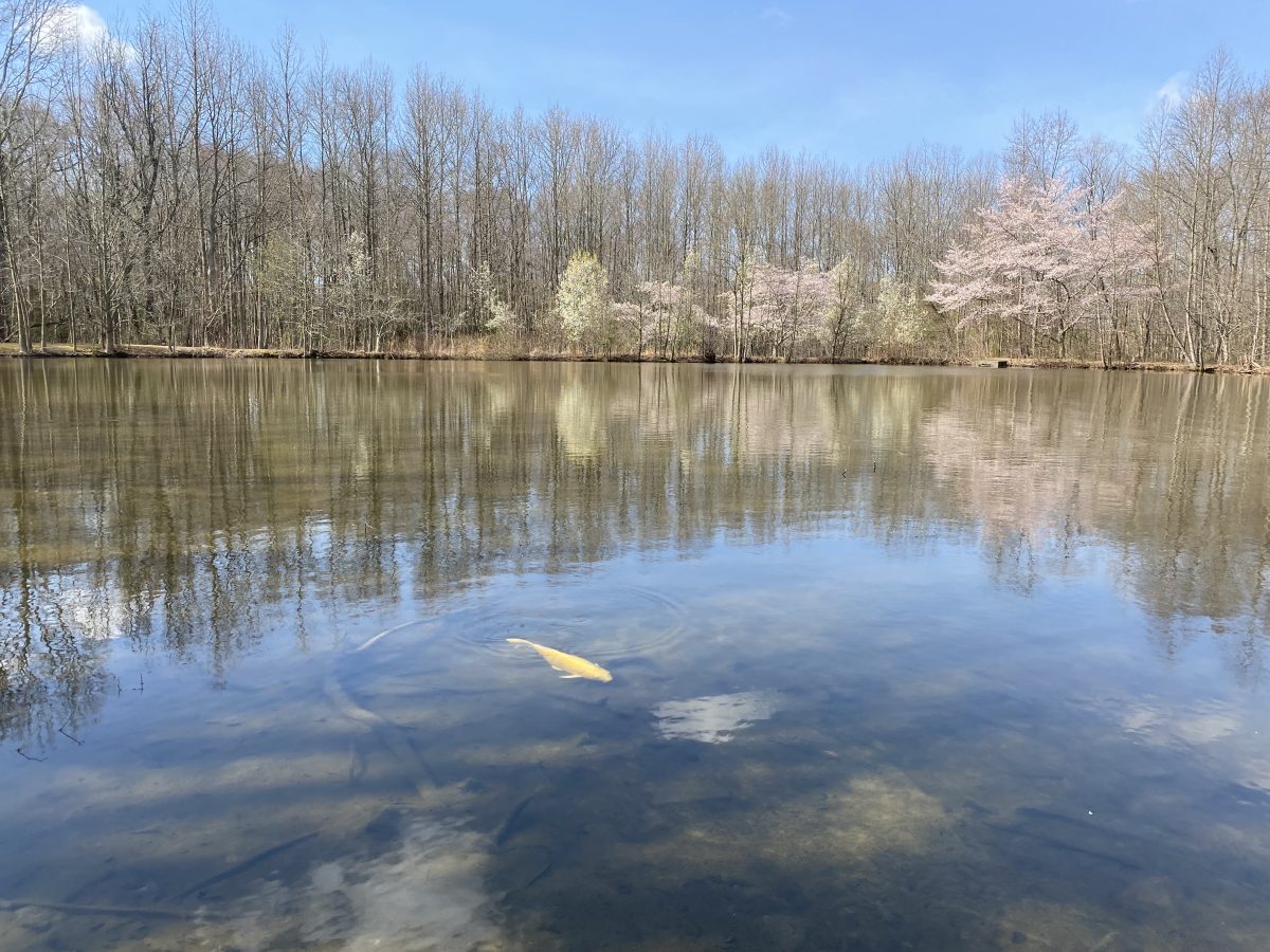 20 Minute Radius Washington Lake Park Rowan Blog(00)