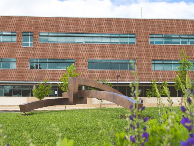 A photo of James Hall behind flowers and an art installation.