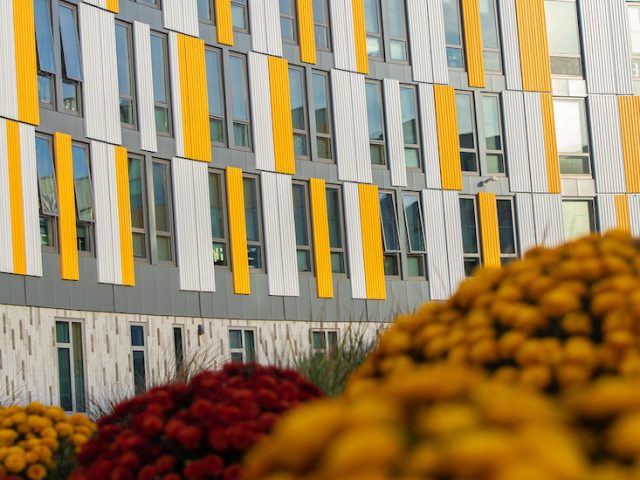 Exterior shot of Holly Pointe Commons with yellow and red mums in the foreground.