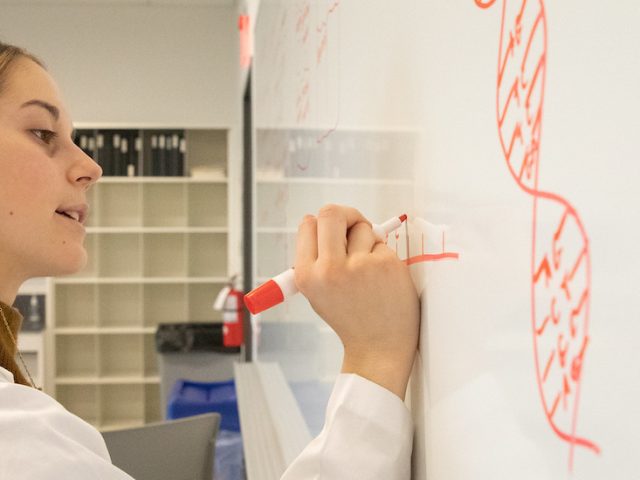 Rowan University Biological Sciences major Mia Shute writes on a whiteboard in the lab.