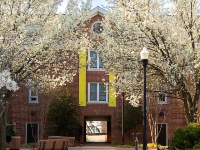 Magnolia Hall during the fall with blooming trees.