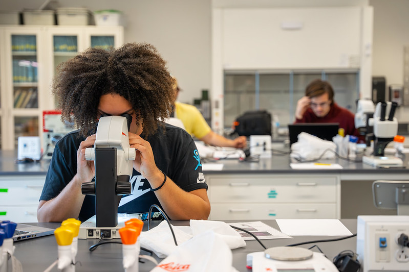 A student peers into a microscope in a lab. 