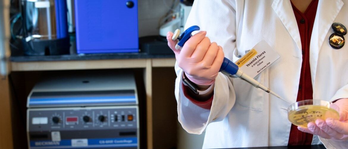 A close up of hands working in a lab, belonging to Rowan University biological sciences major Brian Libby.