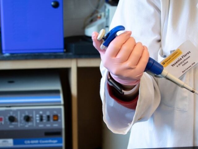 A close up of hands working in a lab, belonging to Rowan University biological sciences major Brian Libby.