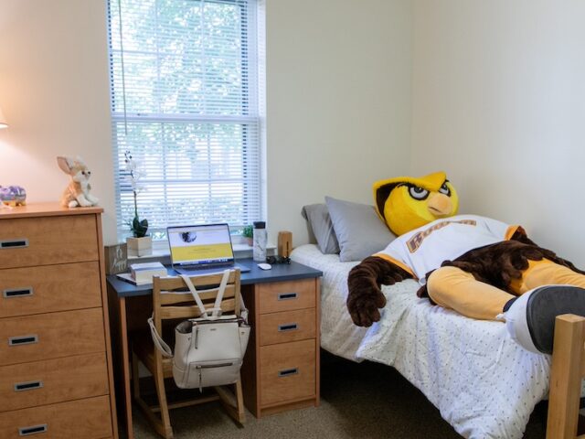 The Rowan mascot owl lays on a bed in a dorm.