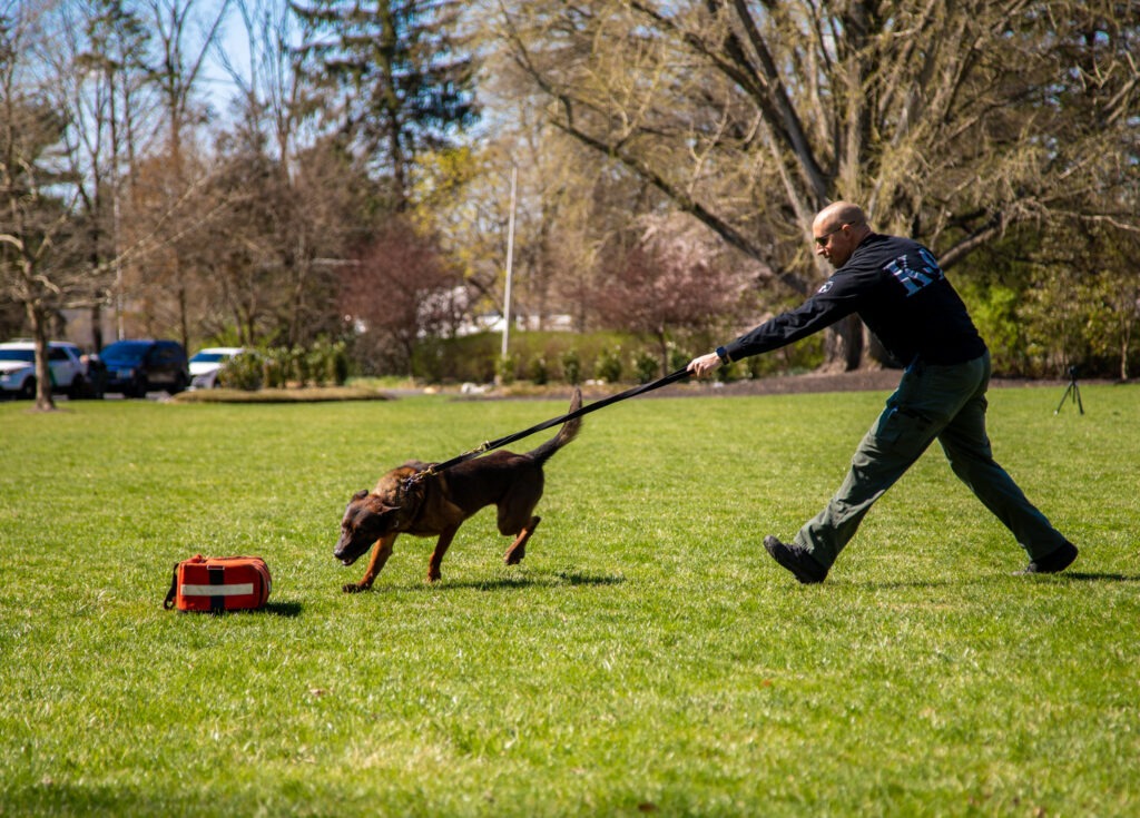 Officer with police dog in hands-on training, illustrating career paths from an online criminal justice bachelor’s degree