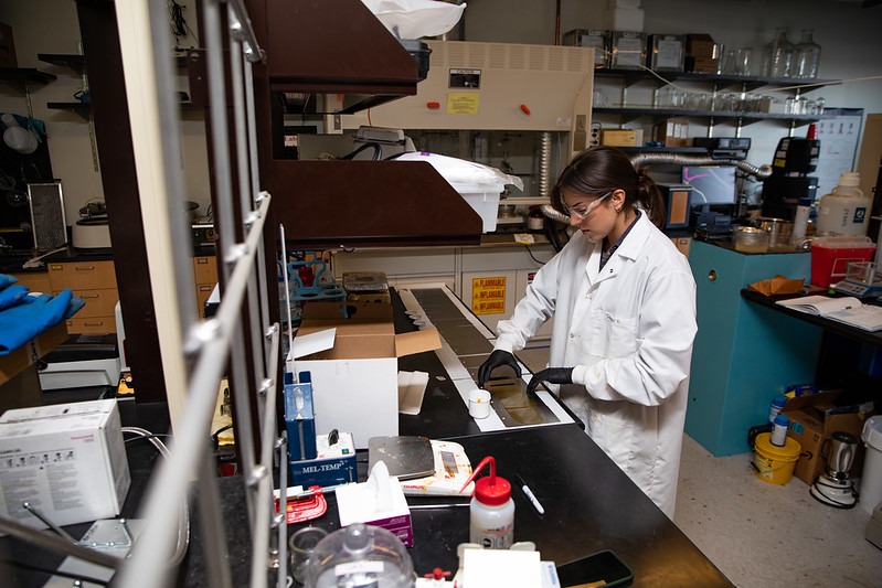 A Rowan University chemical engineering major looks down at the lab table to what's immeidately in front of her, on a full and well-used lab table.
