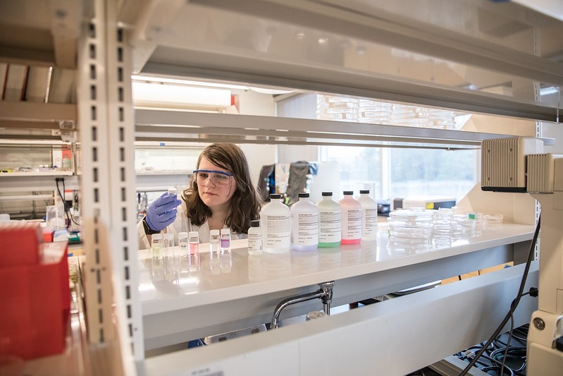 A peek at a chemical engineering student through the racks of a lab, as she holds a vial and looks at it, wearing eye goggles and purple safety gloves.
