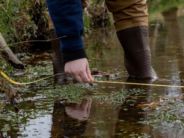 A close up of creek water with environmental science majors' feet and hands working in the water.