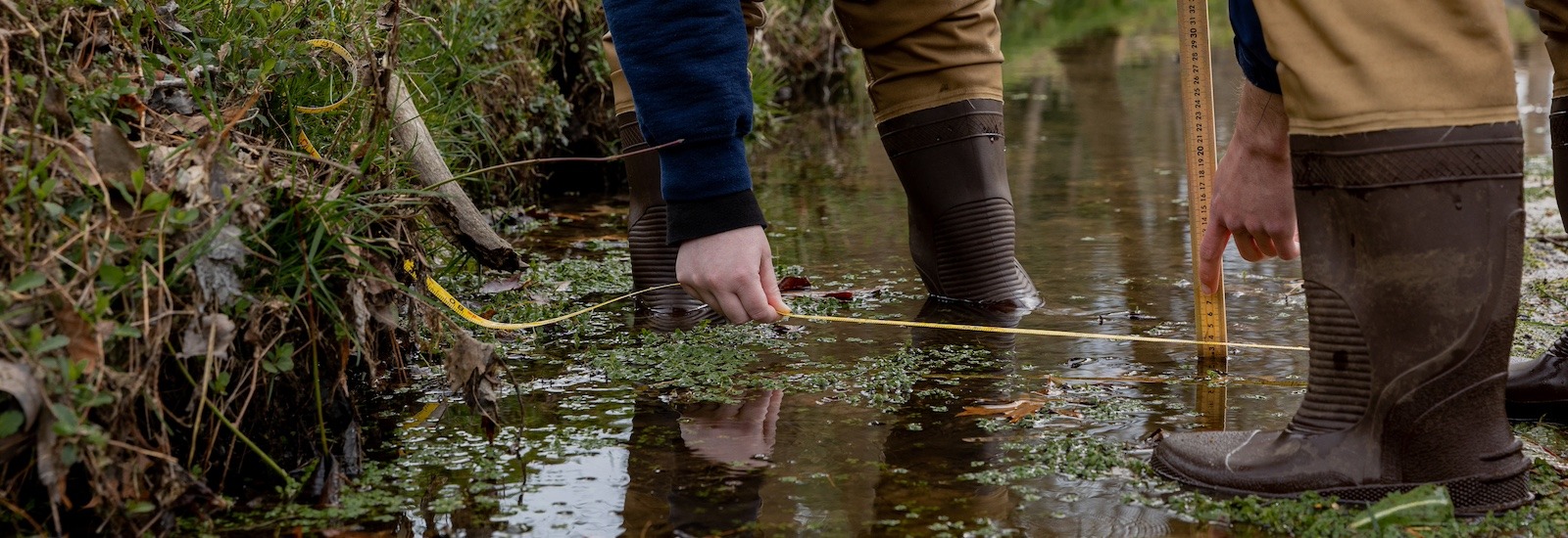 A close up of creek water with environmental science majors' feet and hands working in the water.
