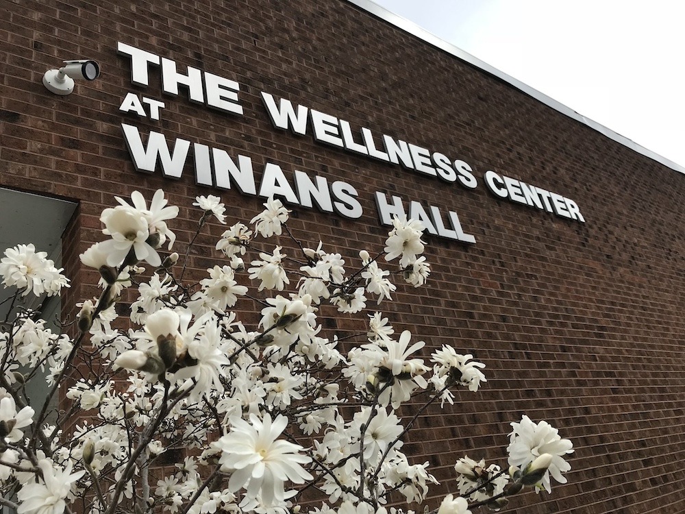 The Wellness Center at Winans Hall reads the block lettering on the brick facade of this building, positioned to highlight the white azaleas under the sign.