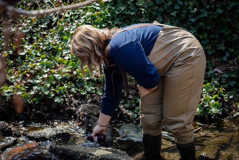 A Rowan University student conducts research in a stream, bending down to capture water while wearing waders. 