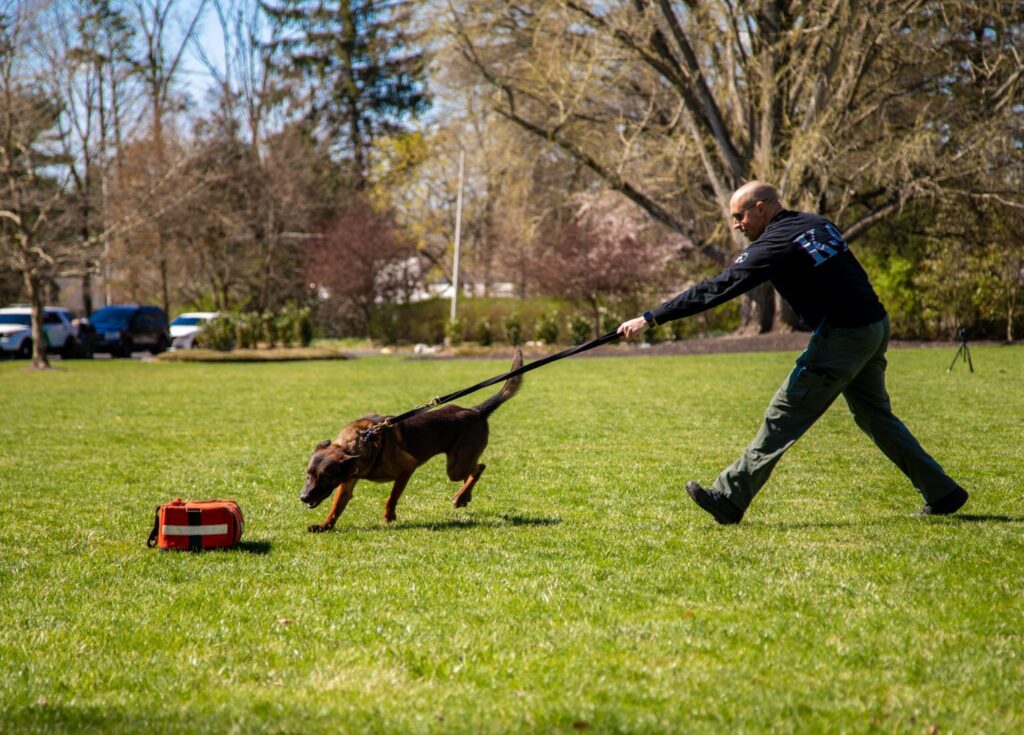 Law enforcement officer training with K9 unit, representing career paths from Rowan’s online bachelor’s degree in criminal justice.