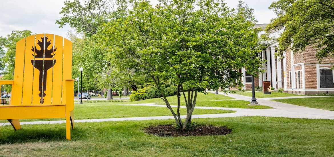An oversized Rowan University yellow Adirondack chair with a Rowan brown torch painted on it sits on the grass on campus.
