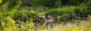 A Rowan University students sits on a riverbank in the Pine Barrens, surrounded by trees and water.