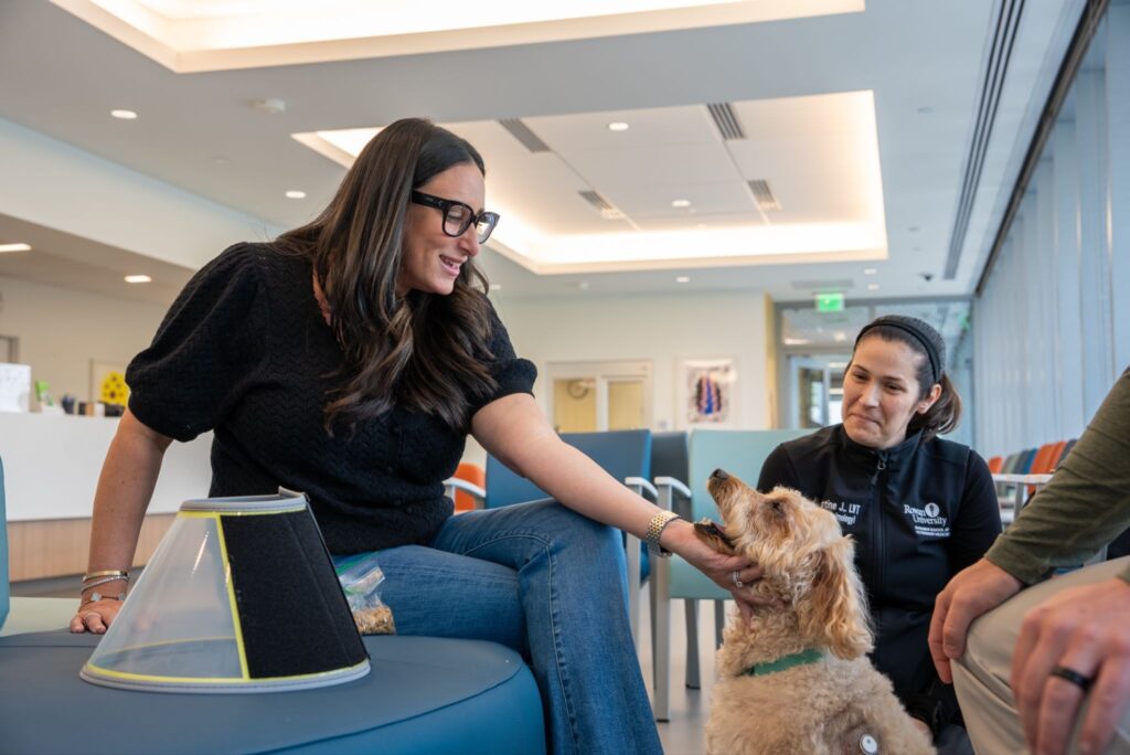 A happy Rex allows his chin to be held after surgery, in the waiting room with staff and family.